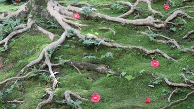 2023年末に寄せて