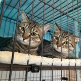 2025年末によせて